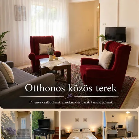 Levendula Vendeghaz Verpelét